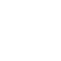 Logo LV Immobilier